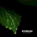 Sync24 - Cryptobiosis