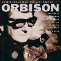 Roy Orbison - I Drove All Night