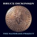 Bruce Dickinson - Rain On The Graves