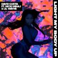 David Guetta feat. Nicki Minaj & Lil Wayne - Light My Body Up (feat. Nicki Minaj & Lil Wayne)