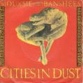 Siouxsie And The Banshees - Cities In Dust - Single Version