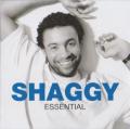 SHAGGY - Nice and Lovely
