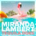 Miranda Lambert - Tequila Does (Telemitry remix)
