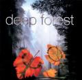 Deep Forest - Lament