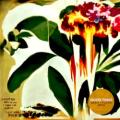 Jungle - GOOD TIMES (Braxe + Falcon Remix)