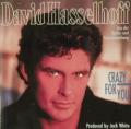 David Hasselhoff - Crazy for You