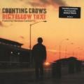 Counting Crows ft Vanessa Carlton - Big Yellow Taxi