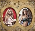 Shakira - Hips Don’t Lie (en Español)
