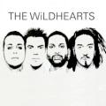 The Wildhearts - The New Flesh
