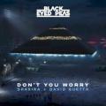 Black Eyed Peas/Shakira/David Guetta - DON’T YOU WORRY