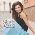 Shania Twain - From This Moment On (Pop On-Tour Version)