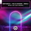 Neptunica & Felix Schorn & MEELA - What Do You Know?