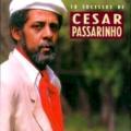 César Passarinho - Cambichos