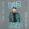 5 Luke Combs - Cold as You