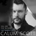 Calum Scott - You Are The Reason - Instrumental