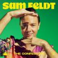 Sam Feldt - The Confession