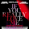 David Guetta, MistaJam, John Newman - If You Really Love Me (How Will I Know)