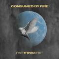 CONSUMED BY FIRE - Walk With Jesus