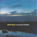 David Gray - Real Love