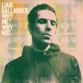 Liam Gallagher - Once