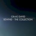 Craig David/Sting - Rise & Fall