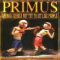 Primus - The Carpenter And The Dainty Bride