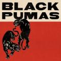 BLACK PUMAS - Fire