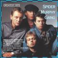 Spider Murphy Gang - Wer wird denn woana