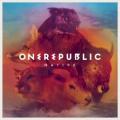 OneRepublic - Something I Need