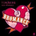 Tim Berg - Seek Bromance (Avicii Vocal Extended)