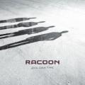 Racoon - Brick by Brick