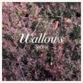 Wallows - These Days