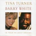 TINA TURNER & BARRY WHITE - In Your Wildest Dreams (Joe remix edit)