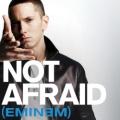 EminemVEVO - Not Afraid