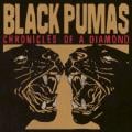 Black Pumas - More Than a Love Song
