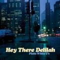 The Plain White T's - Hey There Delilah (edit)