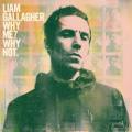 Liam Gallagher - Now That I've Found You