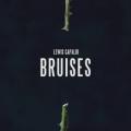 Lewis Capaldi - Bruises