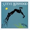 Steve Winwood - While You See a Chance