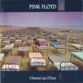 Pink Floyd - on the turning away