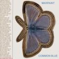 Warpaint - Common Blue