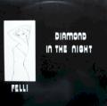 Felli - Diamond In The Night (Vocal)
