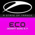ECO - The Storm (original mix)