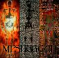 Meshuggah - Transfixion