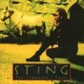 Sting - It's Probably Me