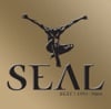 SEAL - Kiss from a Rose
