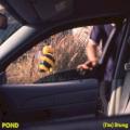 POND - (I'm) Stung