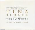 Tina Turner - Goldeneye (live)
