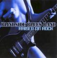 Blindside Blues Band - Born With the Blues