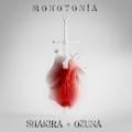 SHAKIRA Y OZUNA - Monotonía